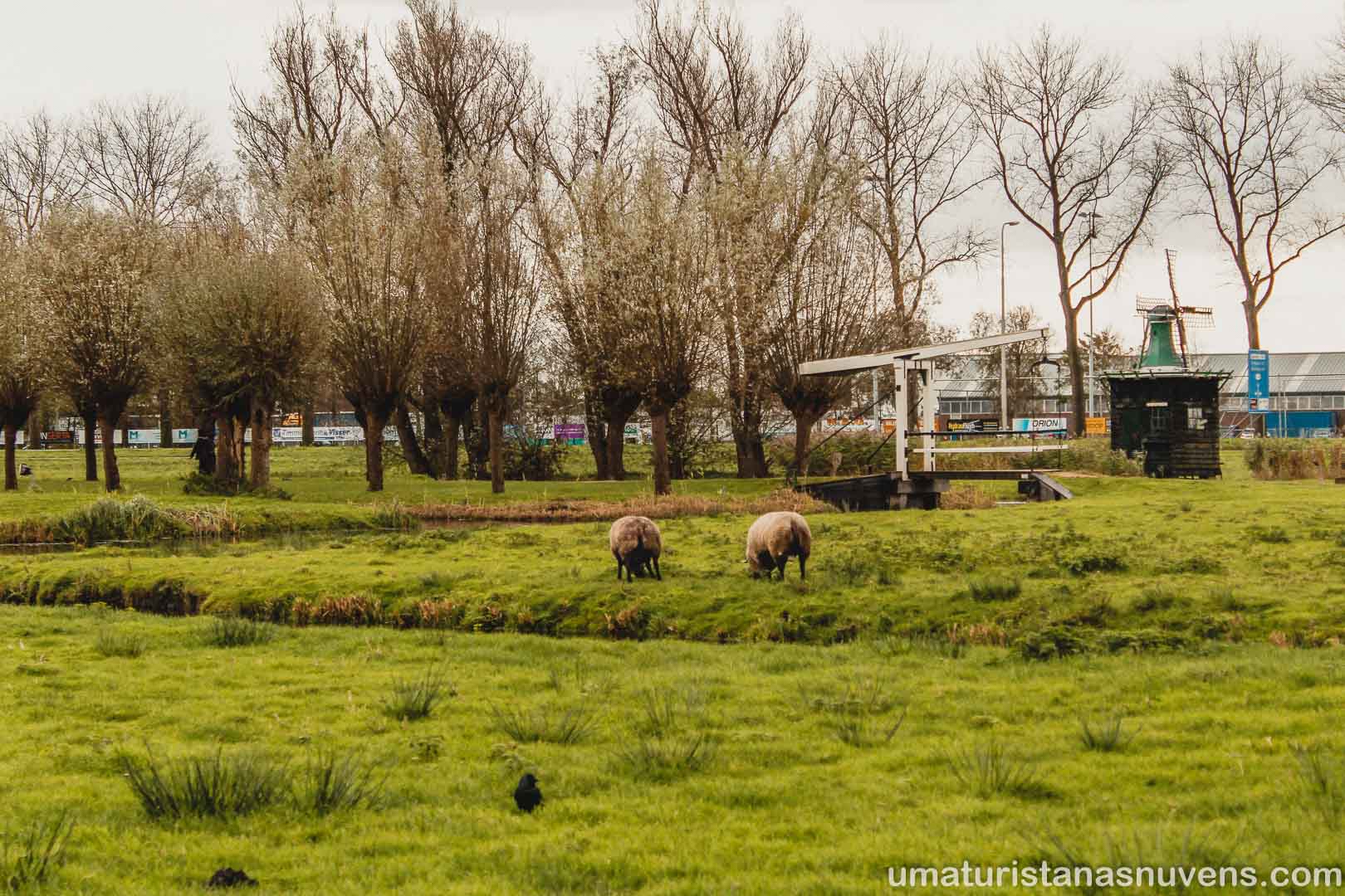Zaanse Schans - vilarejo dos moinhos na Holanda