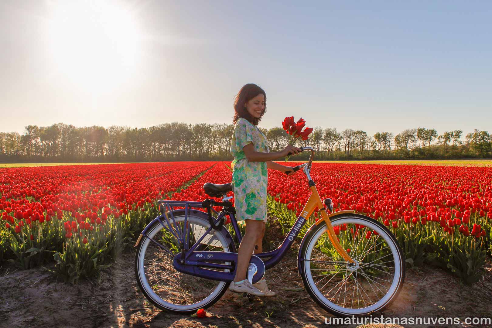 Au Pair nos Estados Unidos x Au Pair na Holanda