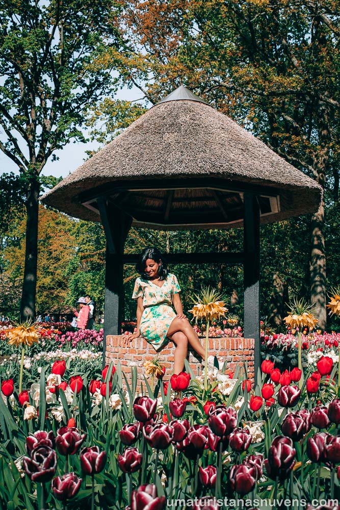 Keukenhof - Holanda